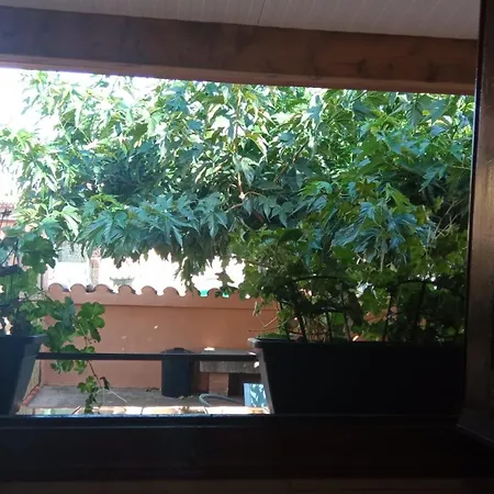 Casanovas * Rabos
